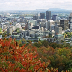 Le centre ville de Montréal depuis le Mont Royal de Anna Kucsma via Wikimedia Commons