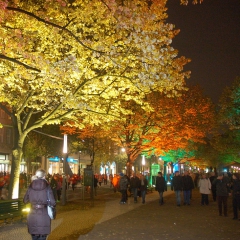 Festival des Lumières par RalfR-09 via Wikimedia Commons